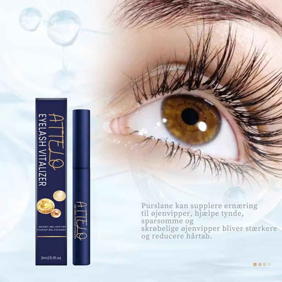 ATTELO | Serum til vækst af øjenvipper, Eyebrow Enhancement, Eye Lash Follicle Nutrition